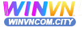 winvncom.city